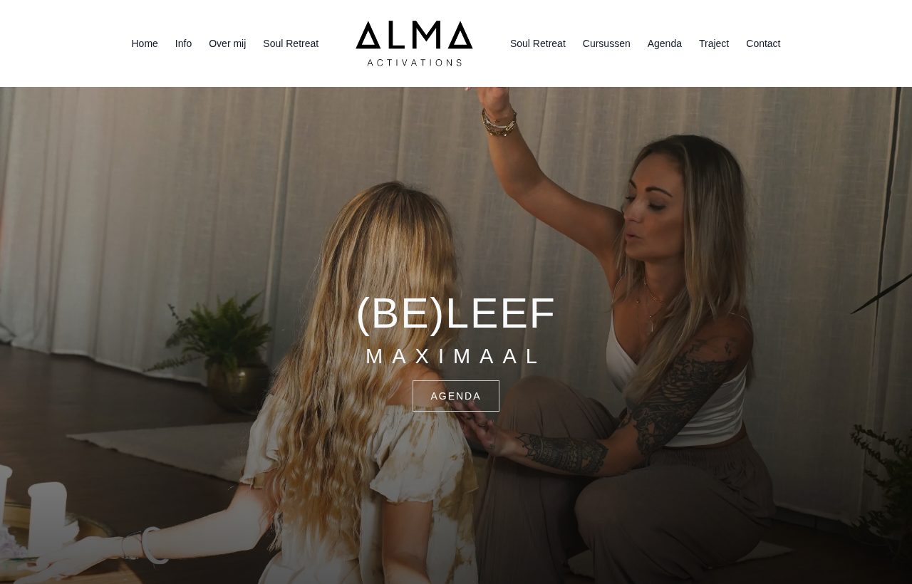 De website die wij bouwden voor Alma Activations