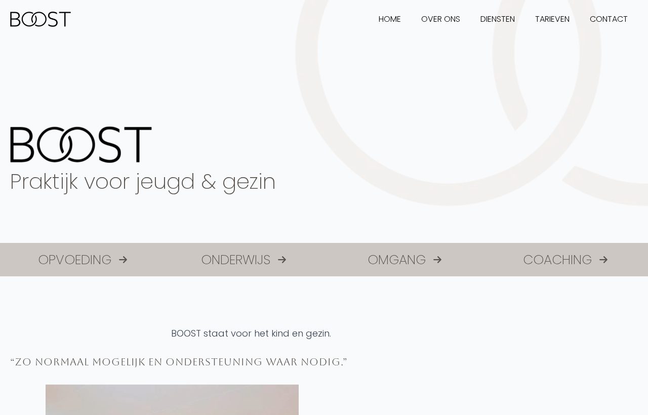 De website die wij bouwden voor Boost NH