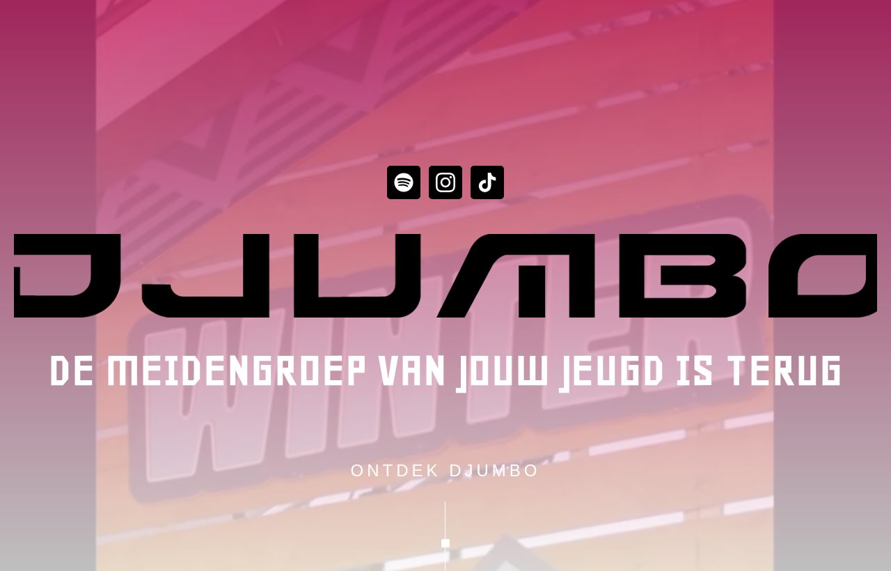 De website die wij bouwden voor Djumbo