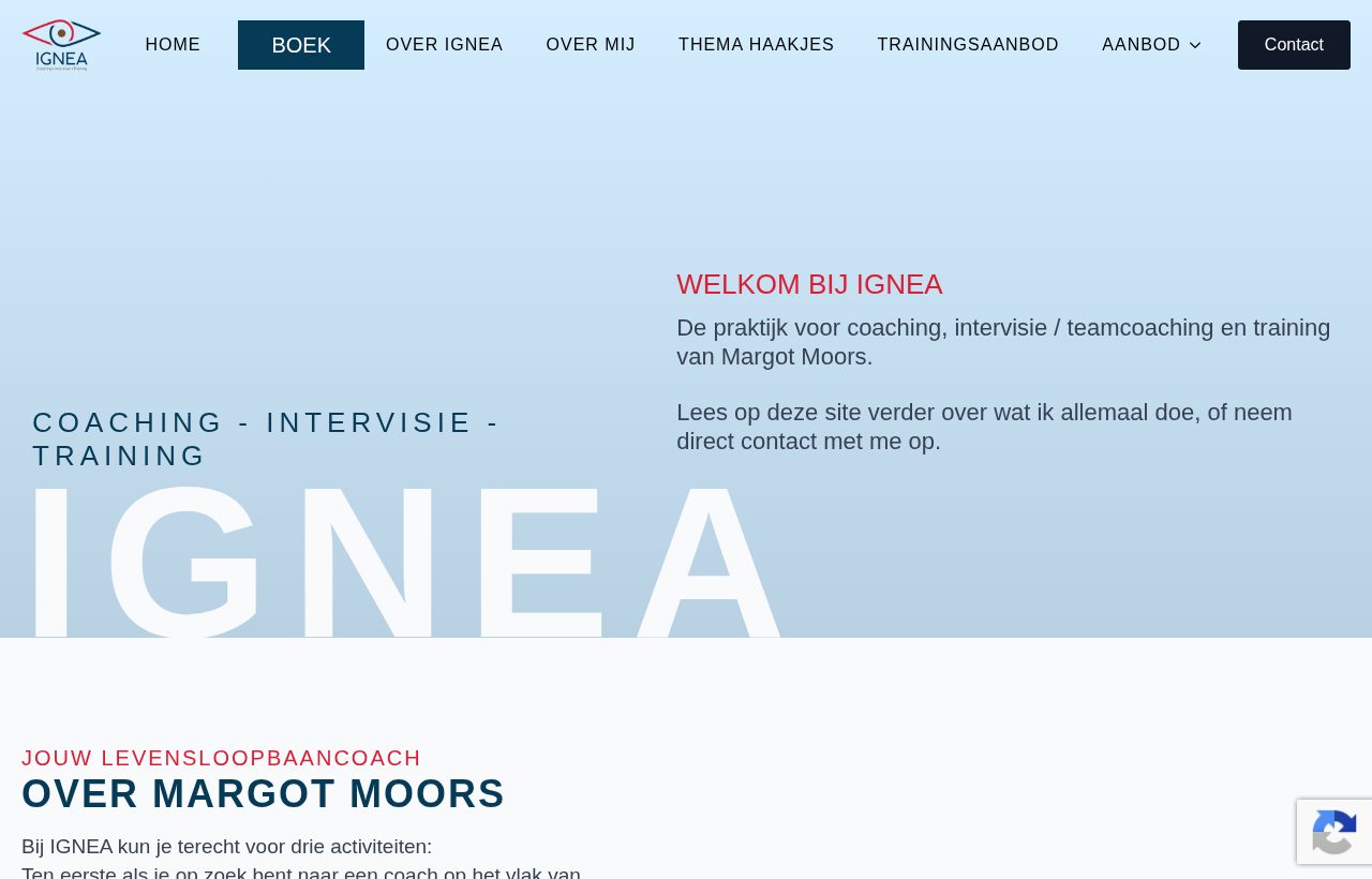 Website die wij bouwden voor Ignea