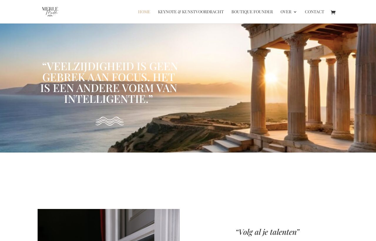 De website die wij bouwden voor Merle Mudde