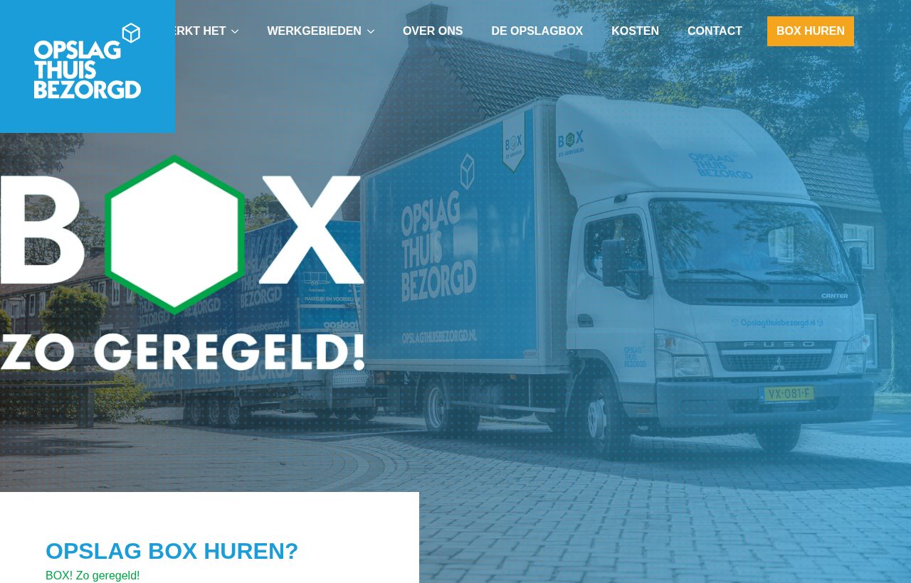 Website die wij bouwden voor Opslag Thuisbezorgd