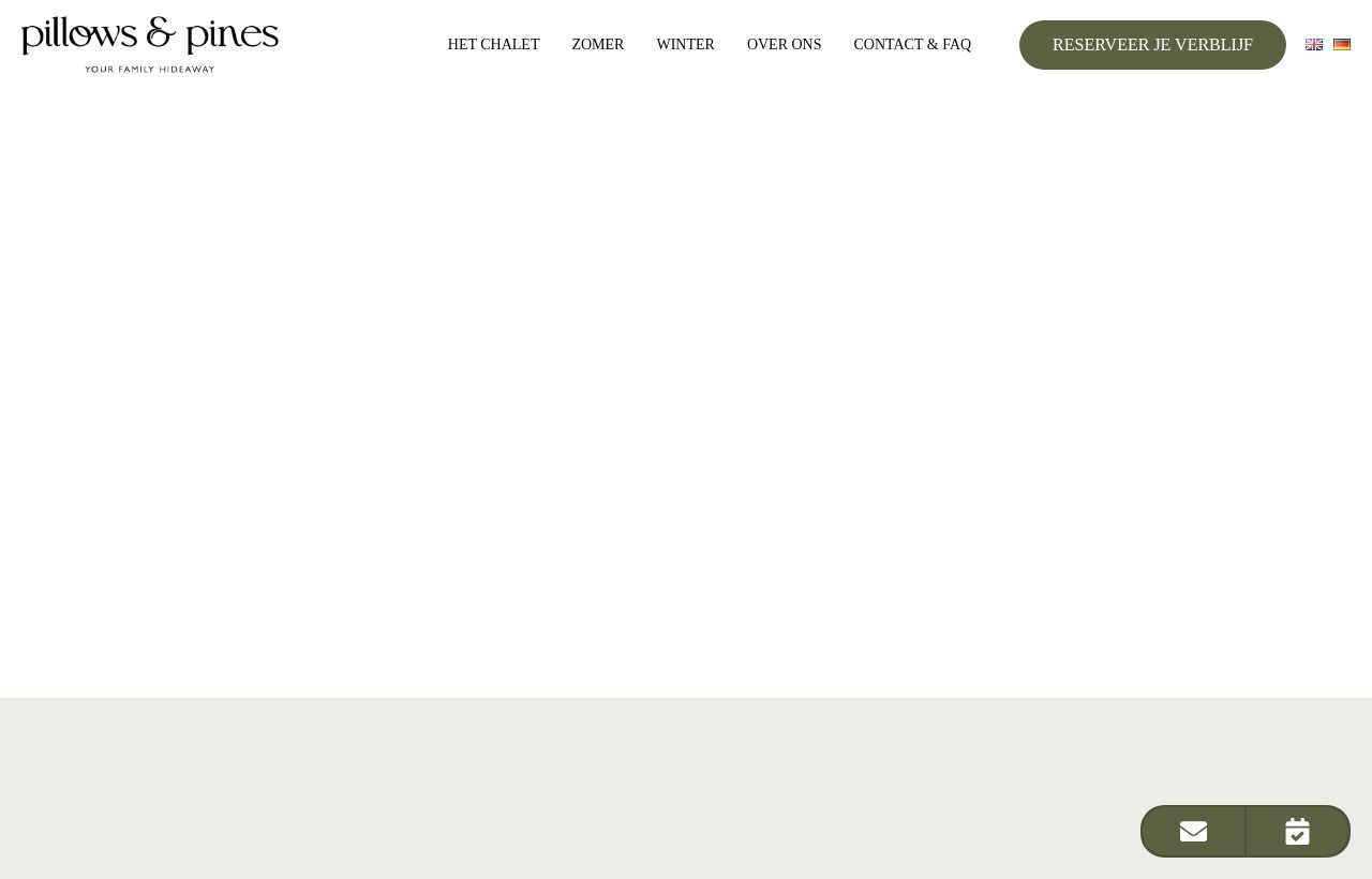 Website die wij bouwden voor Pillows & Pines