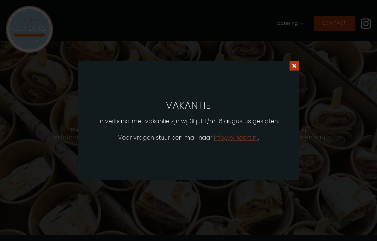 Website die wij bouwden voor Slinders
