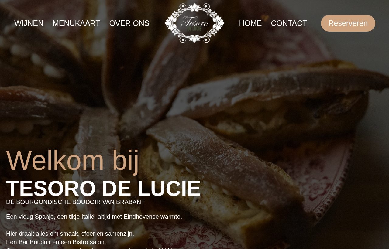Website die wij bouwden voor Tesoro de Lucie